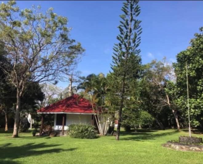 ווליגאמה Subodinee Bungalow מראה חיצוני תמונה