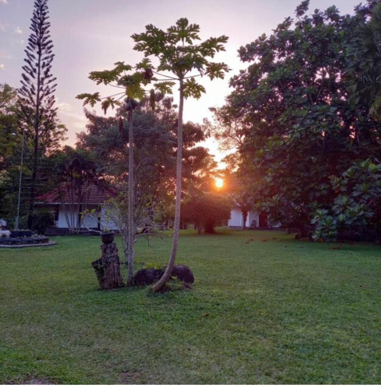 ווליגאמה Subodinee Bungalow מראה חיצוני תמונה